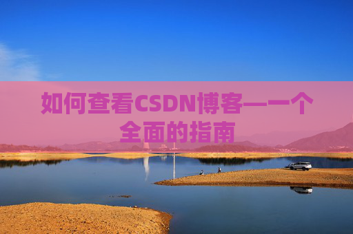 如何查看CSDN博客—一个全面的指南